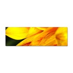 Yellow Sunflower 1   Sticker (Bumper)