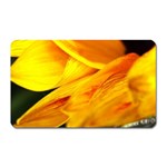 Yellow Sunflower 1   Magnet (Rectangular)