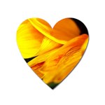 Yellow Sunflower 1   Magnet (Heart)