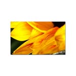 Yellow Sunflower 1   Sticker Rectangular (100 pack)