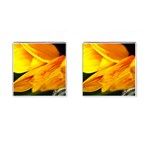 Yellow Sunflower 1   Cufflinks (Square)