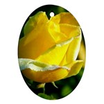 Yellow Rose  Ornament (Oval)