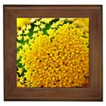 Yellow Flower Stars   Framed Tile