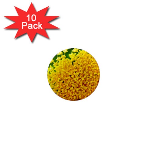 Yellow Flower Stars   1  Mini Magnet (10 pack)  from UrbanLoad.com Front