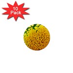 Yellow Flower Stars   1  Mini Magnet (10 pack) 