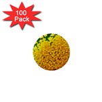 Yellow Flower Stars   1  Mini Button (100 pack) 