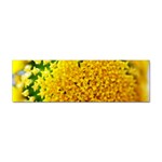 Yellow Flower Stars   Sticker (Bumper)