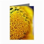 Yellow Flower Stars   Mini Greeting Cards (Pkg of 8)