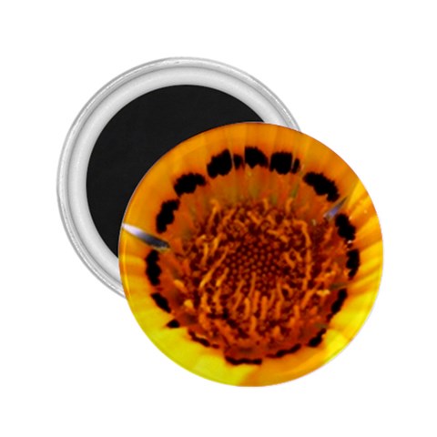 Yellow of Gazania Flower  2.25  Magnet from UrbanLoad.com Front