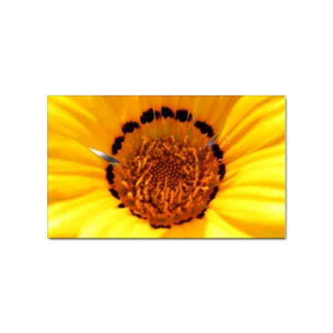 Yellow of Gazania Flower  Sticker (Rectangular) from UrbanLoad.com Front