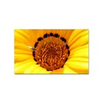 Yellow of Gazania Flower  Sticker (Rectangular)