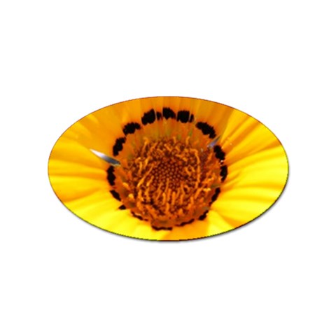 Yellow of Gazania Flower  Sticker Oval (10 pack) from UrbanLoad.com Front