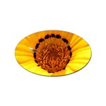 Yellow of Gazania Flower  Sticker Oval (10 pack)