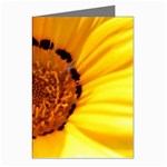 Yellow of Gazania Flower  Greeting Cards (Pkg of 8)