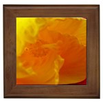 Yellow Flower Front  Framed Tile