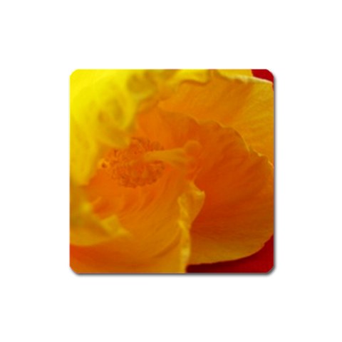 Yellow Flower Front  Magnet (Square) from UrbanLoad.com Front