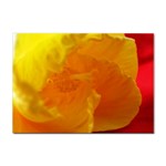 Yellow Flower Front  Sticker A4 (10 pack)