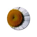 Yellow Daisy Detail  Rubber Round Coaster (4 pack)