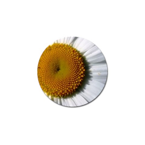 Yellow Daisy Detail  Golf Ball Marker (4 pack) from UrbanLoad.com Front