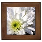 White Flower 1   Framed Tile