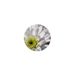 White Flower 1   1  Mini Button