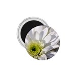 White Flower 1   1.75  Magnet