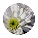 White Flower 1   Ornament (Round)