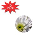 White Flower 1   1  Mini Magnet (10 pack) 