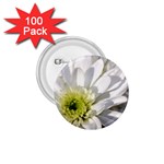 White Flower 1   1.75  Button (100 pack) 