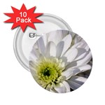 White Flower 1   2.25  Button (10 pack)