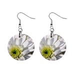 White Flower 1   1  Button Earrings