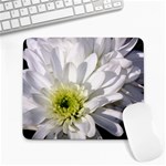 White Flower 1   Large Mousepad