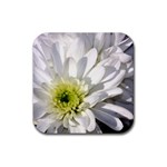 White Flower 1   Rubber Square Coaster (4 pack)