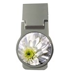 White Flower 1   Money Clip (Round)