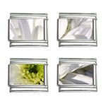 White Flower 1   9mm Italian Charm (4 pack)