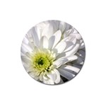 White Flower 1   Magnet 3  (Round)