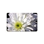 White Flower 1   Magnet (Name Card)