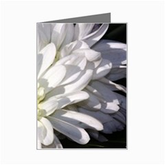 White Flower 1   Mini Greeting Card from UrbanLoad.com Left