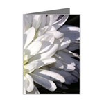 White Flower 1   Mini Greeting Card