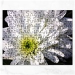 White Flower 1   Jigsaw Puzzle (Rectangular)