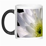 White Flower 1   Morph Mug