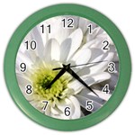 White Flower 1   Color Wall Clock