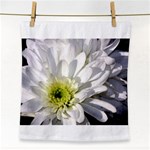 White Flower 1   Face Towel