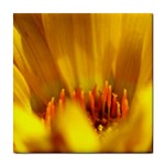 Yellow Color Flower   Tile Coaster