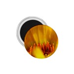 Yellow Color Flower   1.75  Magnet