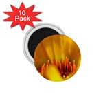 Yellow Color Flower   1.75  Magnet (10 pack) 