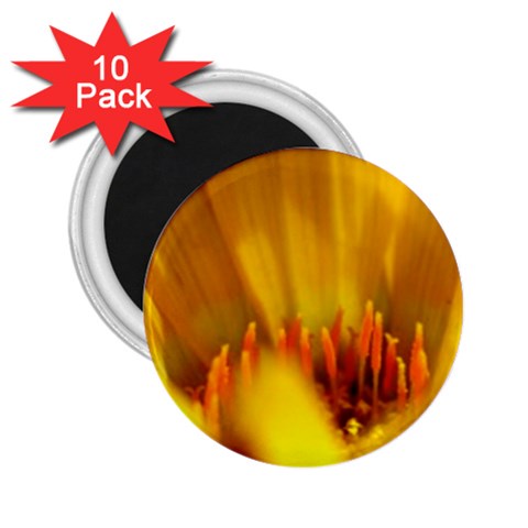 Yellow Color Flower   2.25  Magnet (10 pack) from UrbanLoad.com Front