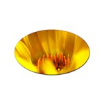 Yellow Color Flower   Sticker (Oval)