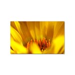 Yellow Color Flower   Sticker (Rectangular)