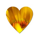 Yellow Color Flower   Magnet (Heart)